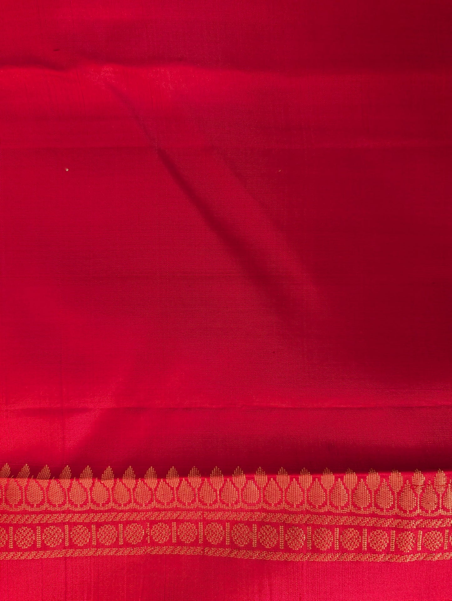 Golden Yellow with Red Borderless Kanjeevaram Silk Saree
