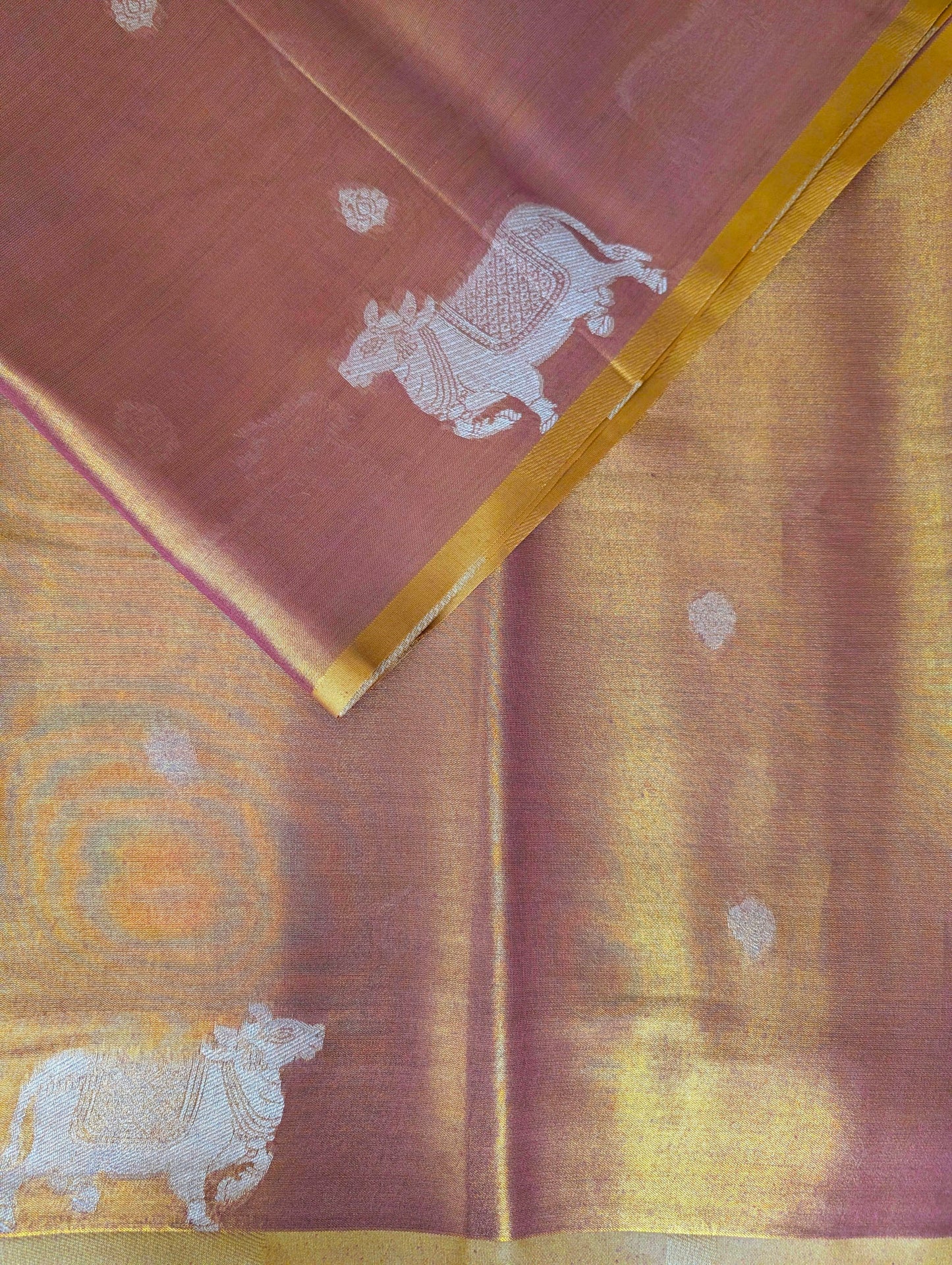 Copper Pichwai Semi Tissue Silk saree