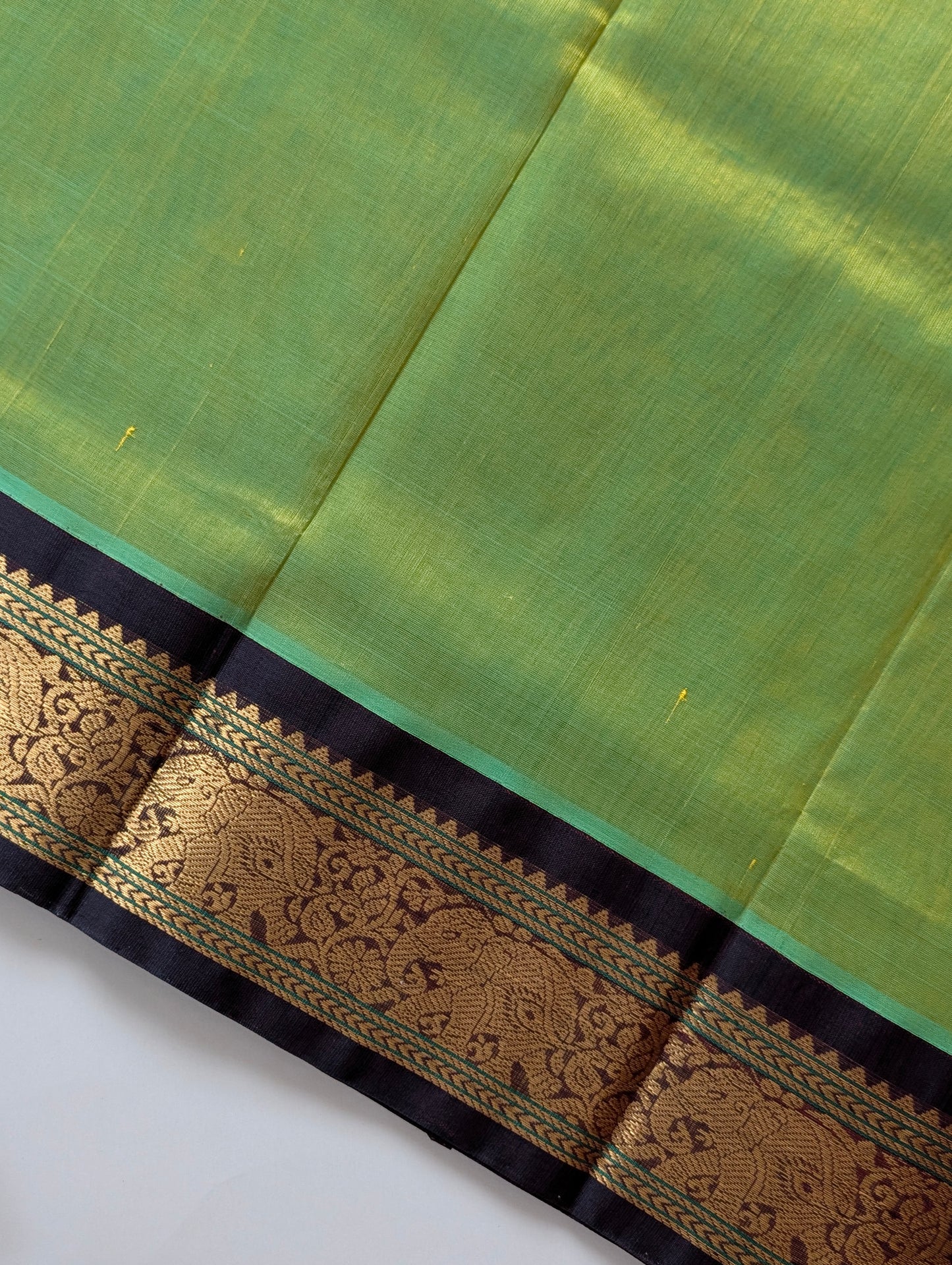 Parrot Green with Brown Koravi Pure Kanchi silk cotton