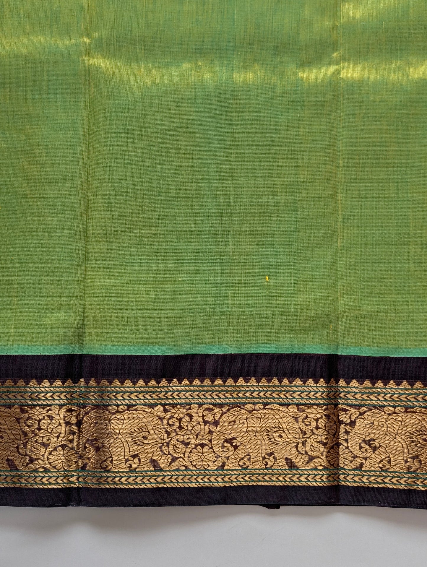 Parrot Green with Brown Koravi Pure Kanchi silk cotton